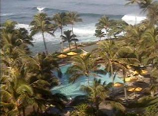 turtlebay.JPG